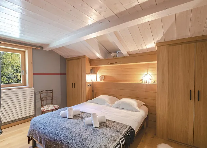 Luxueux A Chamonix, 5 Pour 10 Pers - Fr-1-343-177 Chalet Chamonix